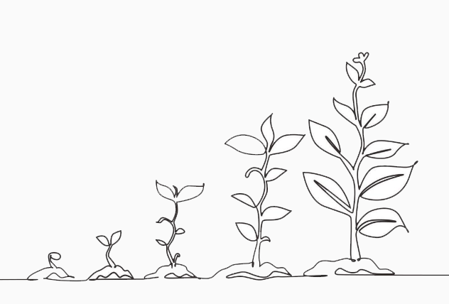 Plantas creciendo unas al lado de otras. Algunas tienen una altura más grande y otras más pequeñas.