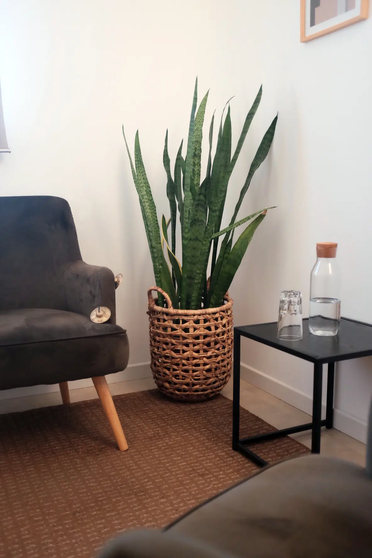 Consulta de psicoterapia en Sitges, luz natural